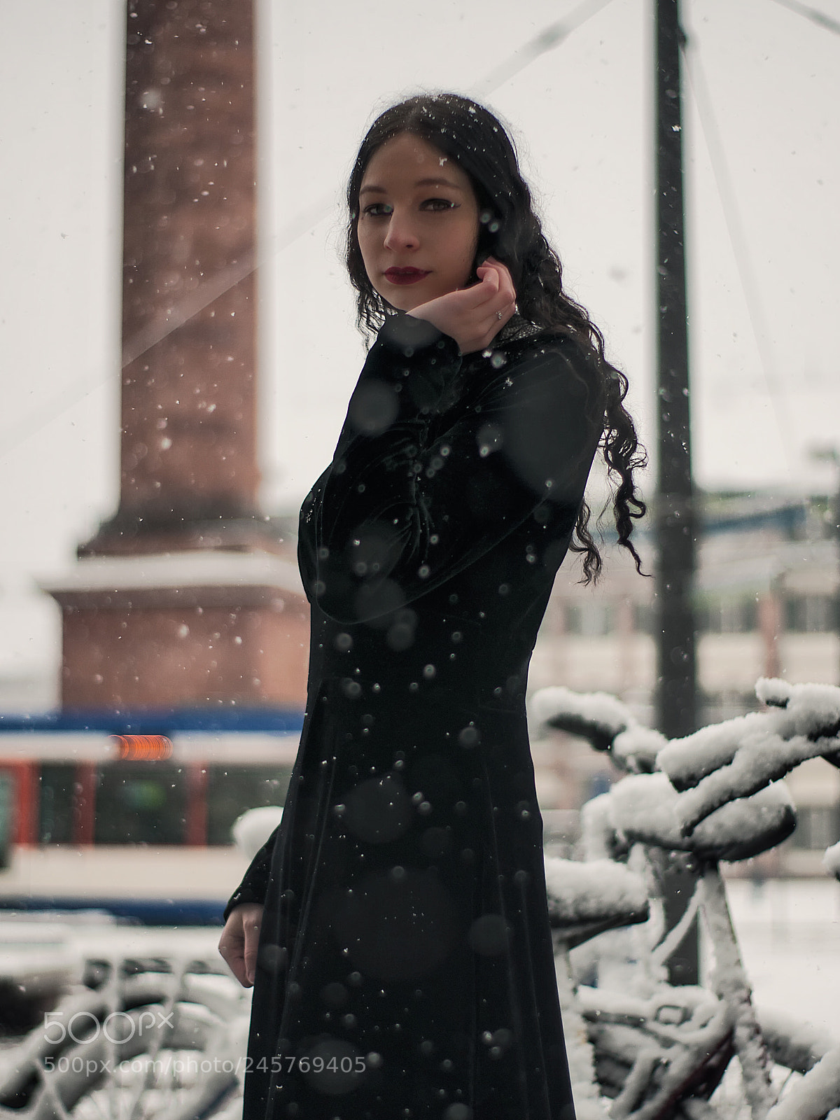 Nikon D5000 sample photo. Alice in winterland photography