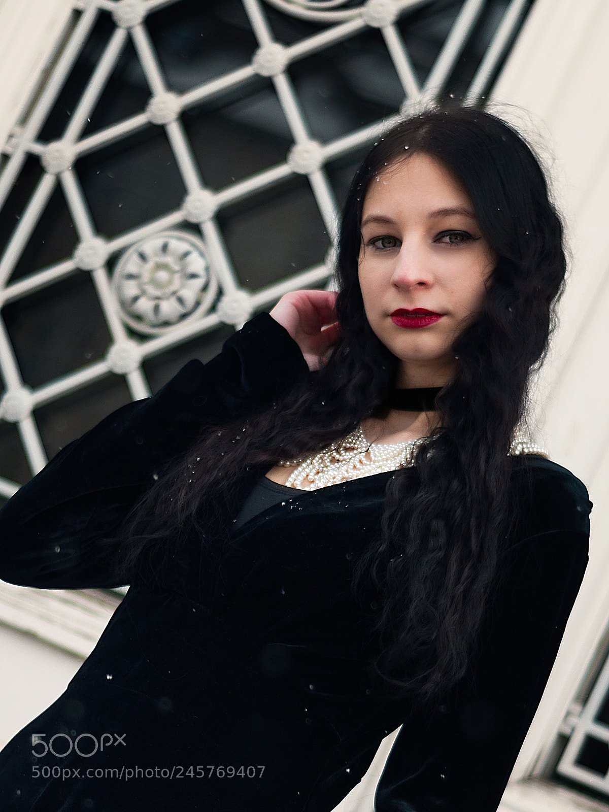 Nikon D5000 sample photo. Alice in winterland photography