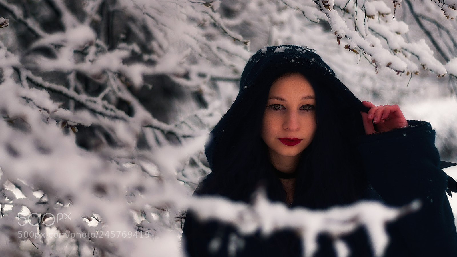 Nikon D5000 sample photo. Alice in winterland photography