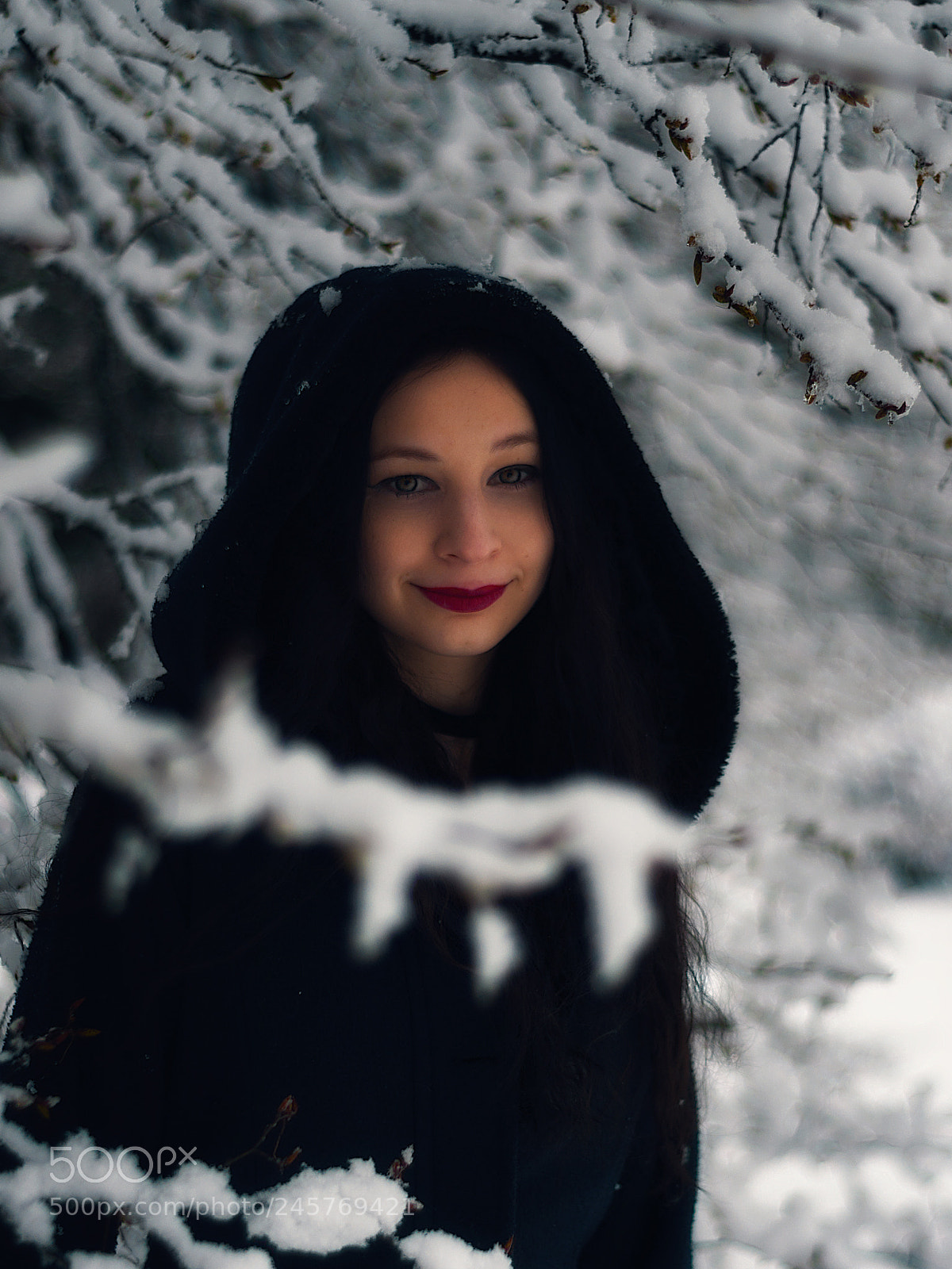 Nikon D5000 sample photo. Alice in winterland photography