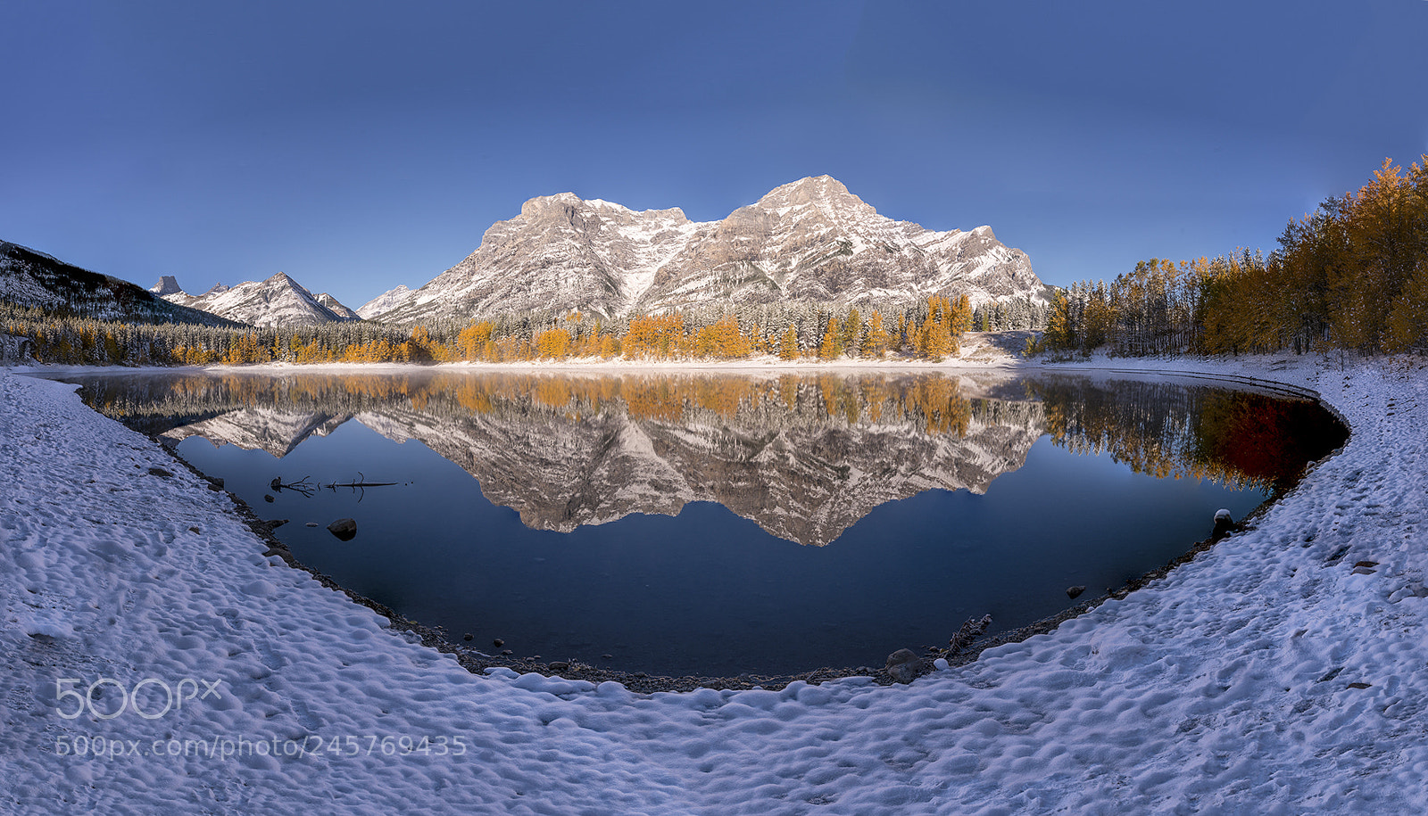 Nikon D800 sample photo. Winter beauty photography