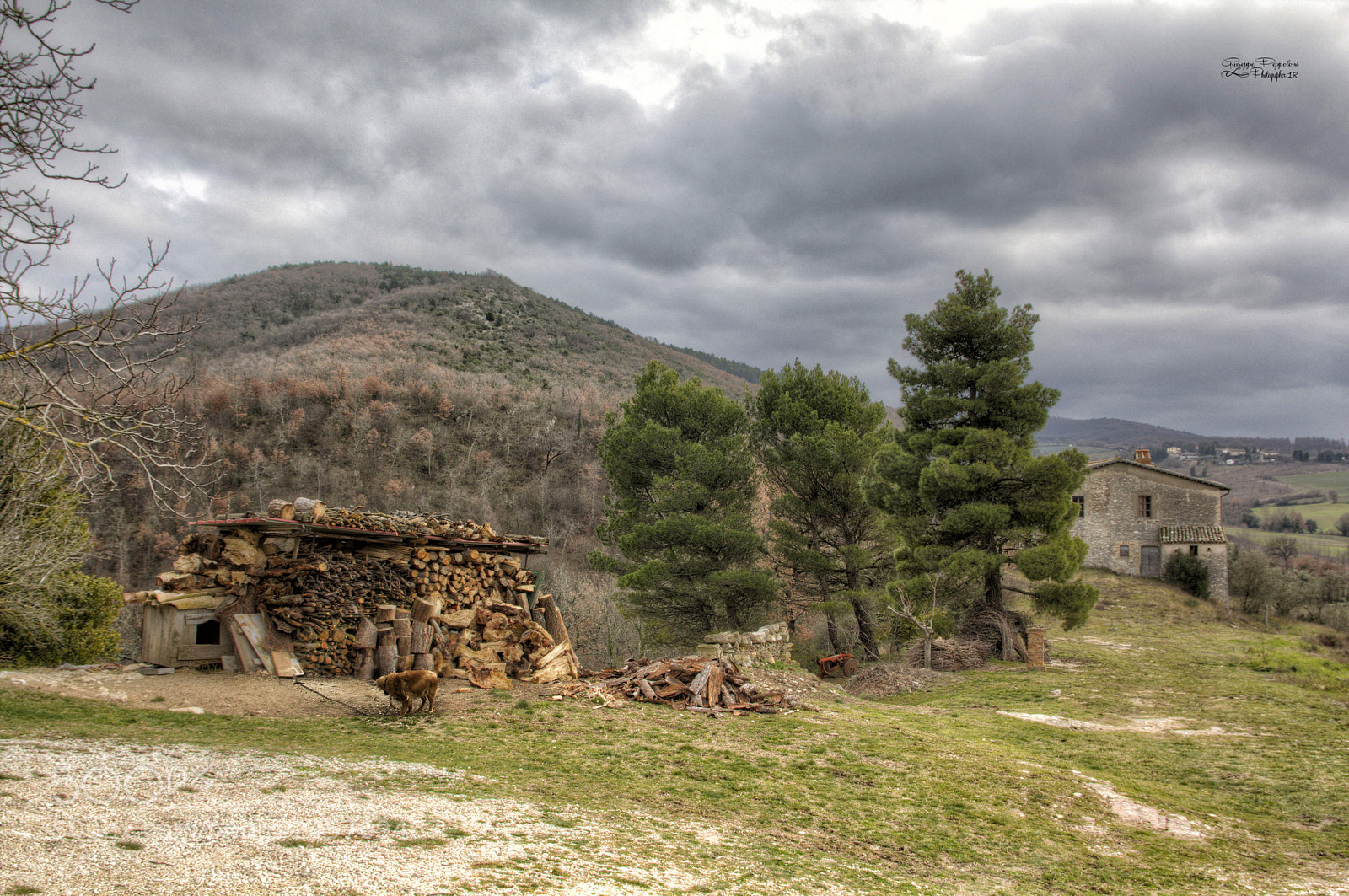 Canon EOS 60D sample photo. Monti martani photography