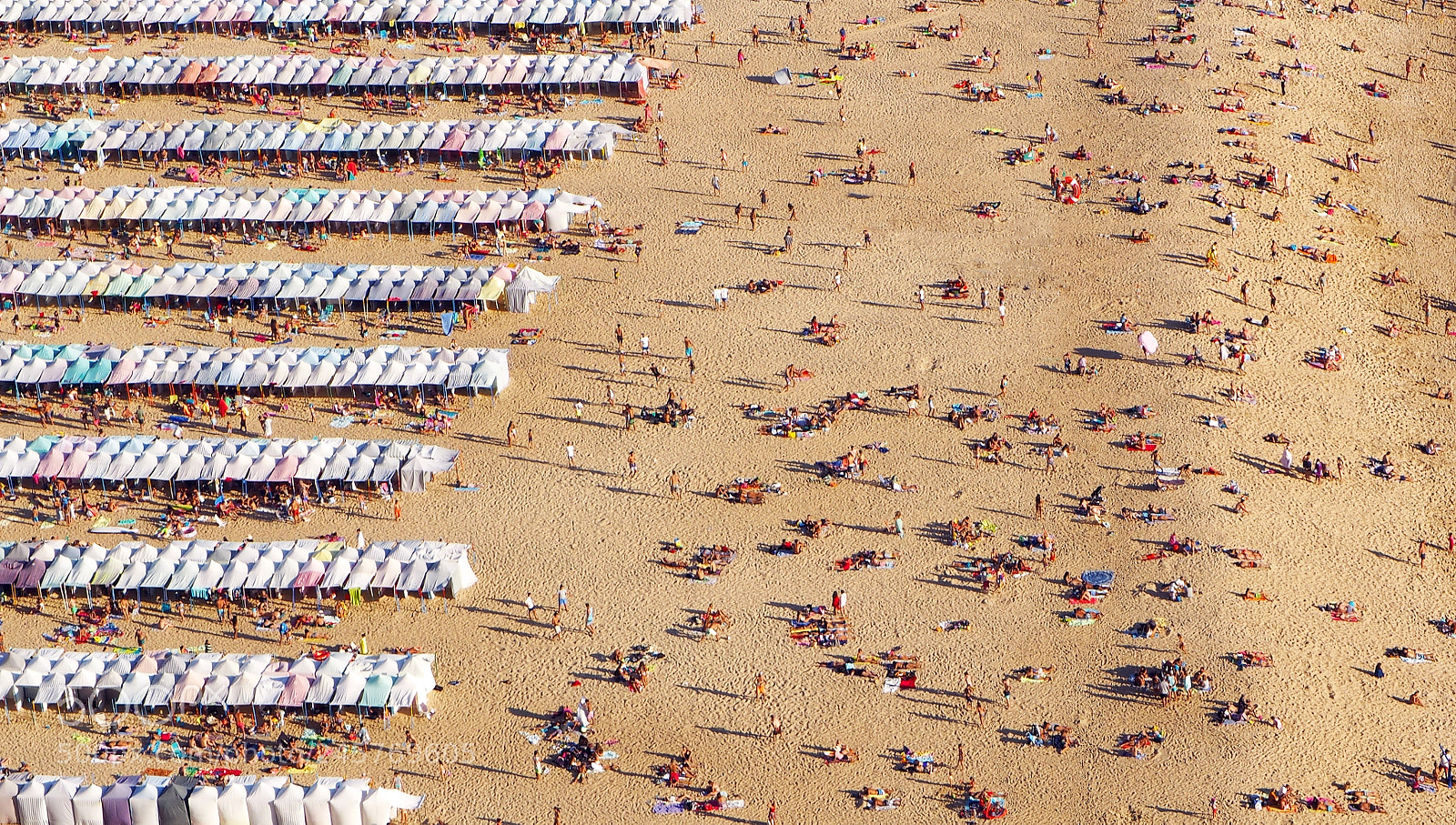 Olympus OM-D E-M1 sample photo. Details on the beach photography
