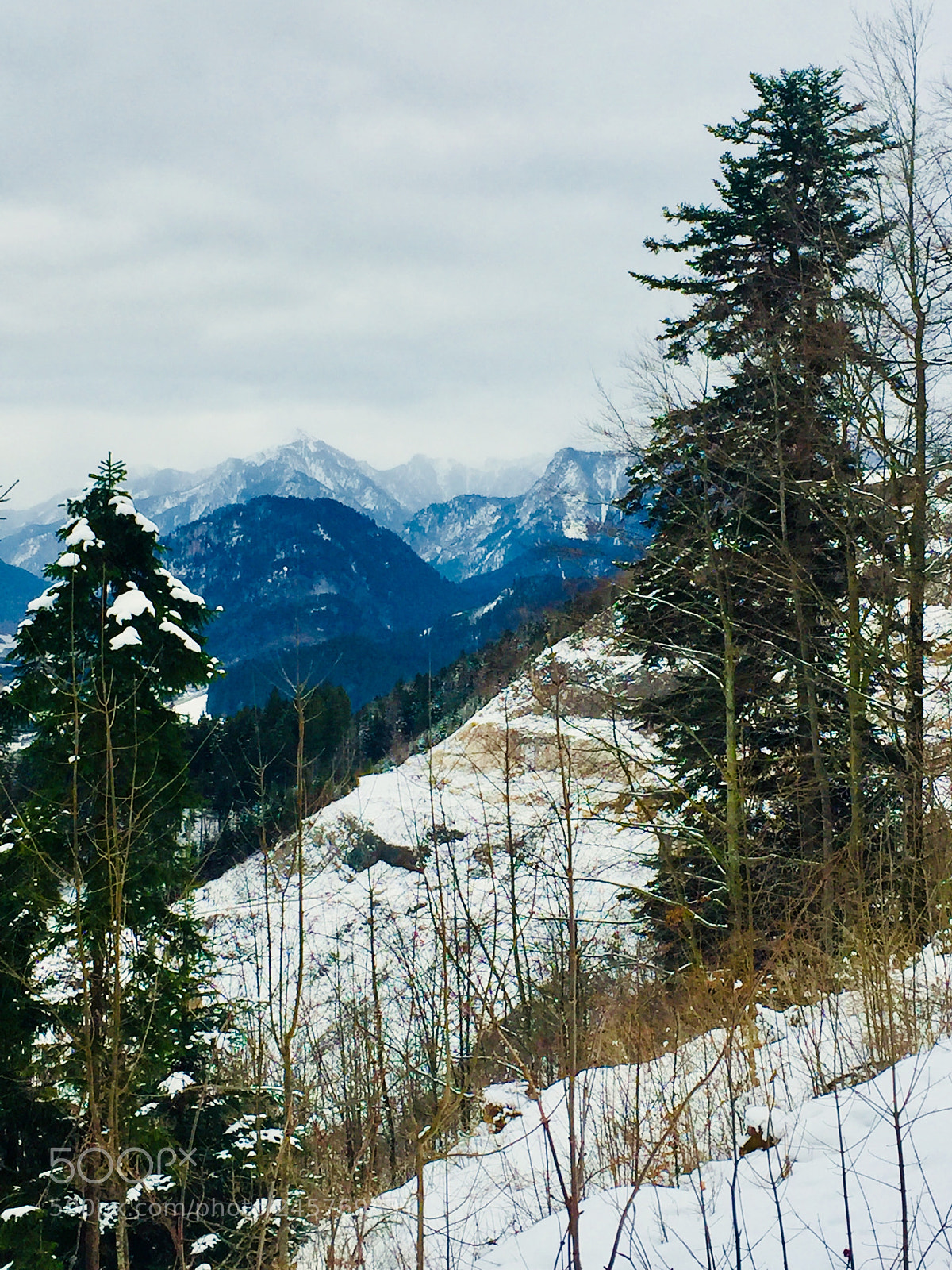Apple iPhone 6 sample photo. Winterwonderland photography