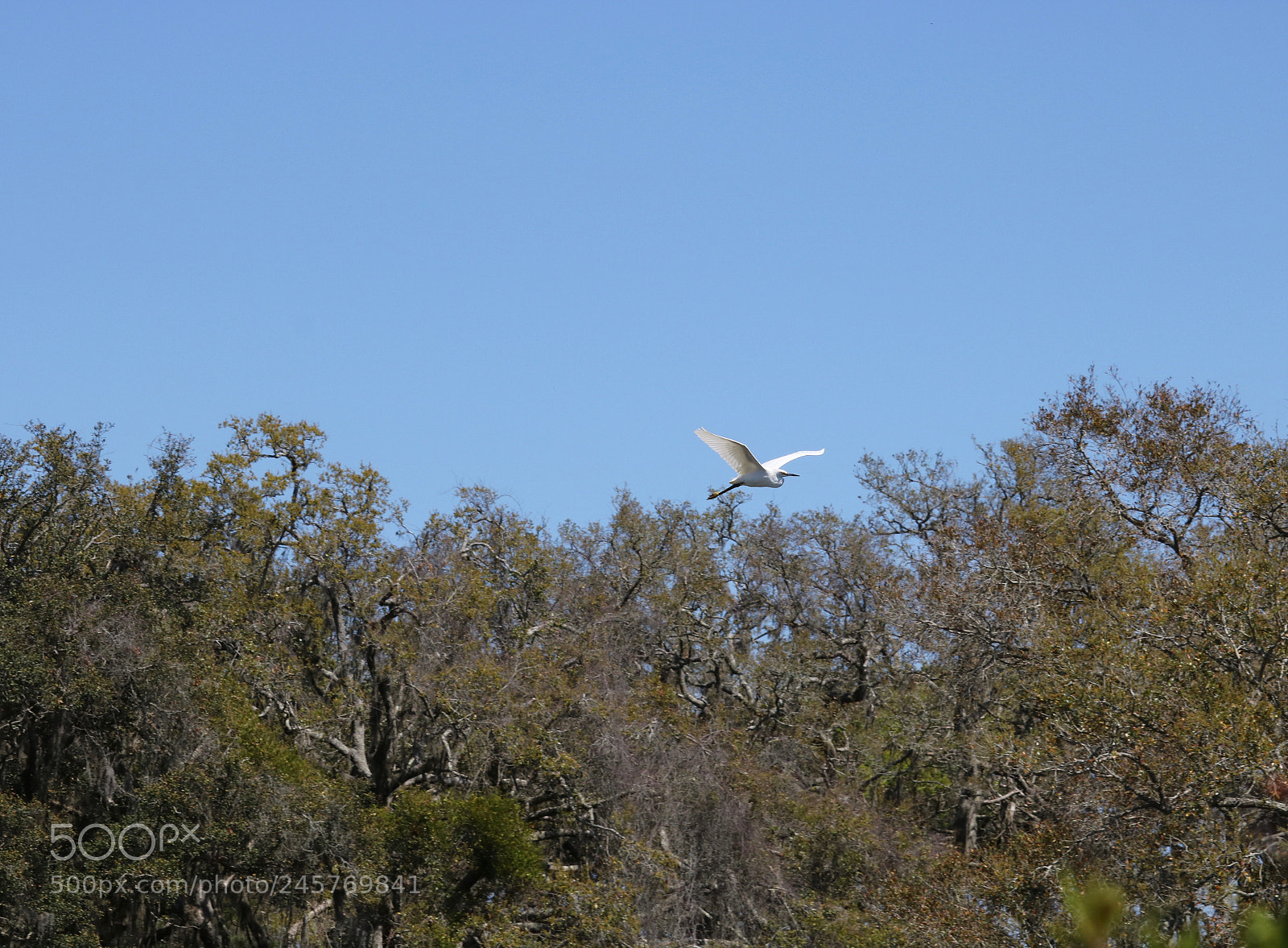 Canon EOS 750D (EOS Rebel T6i / EOS Kiss X8i) sample photo. Img photography
