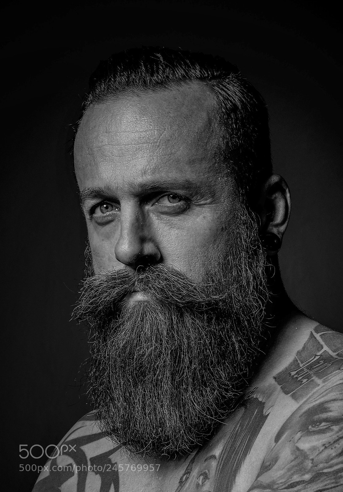 Fujifilm X-T20 sample photo. Vollbart photography