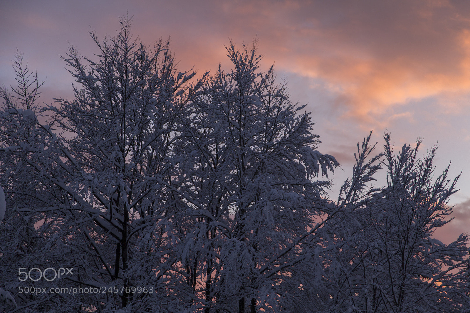 Canon EOS 600D (Rebel EOS T3i / EOS Kiss X5) sample photo. Red skies photography