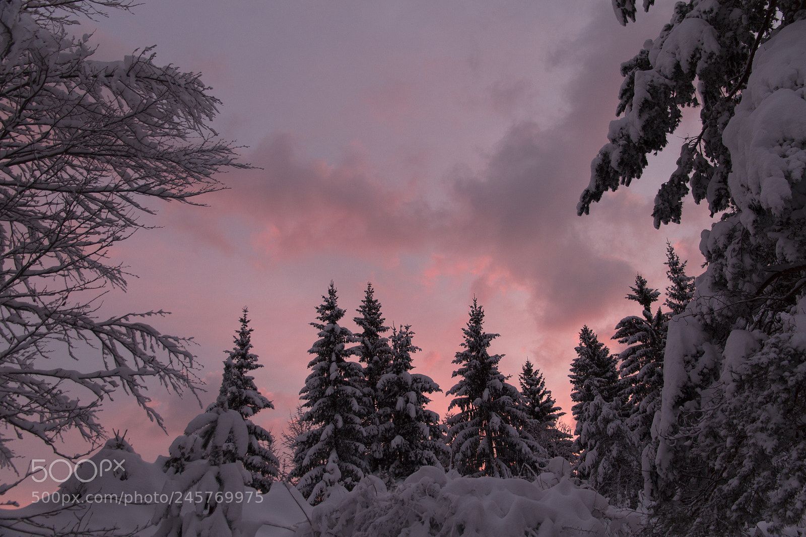 Canon EOS 600D (Rebel EOS T3i / EOS Kiss X5) sample photo. Red skies photography