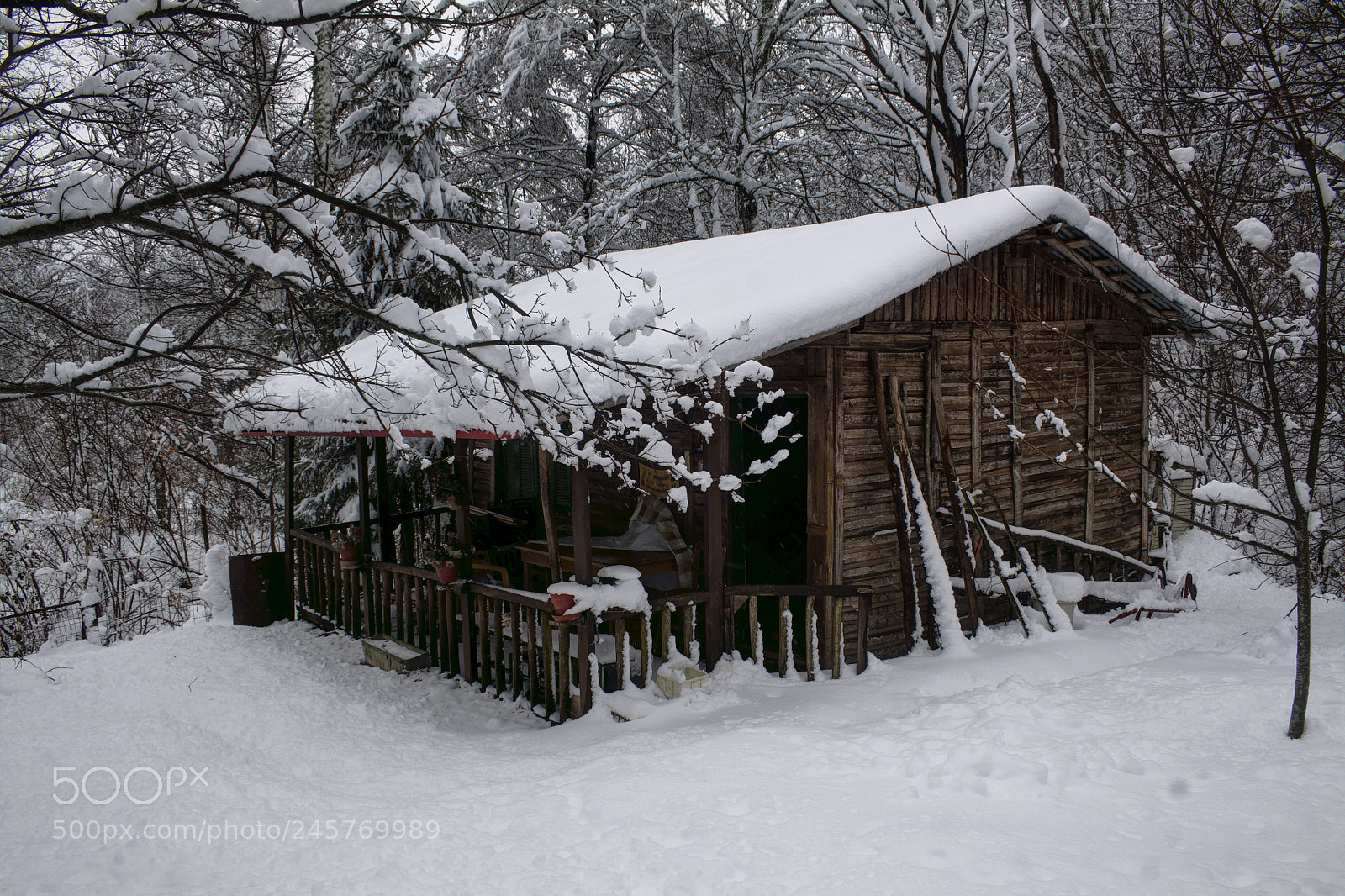 Canon EOS 50D sample photo. A hut in the photography