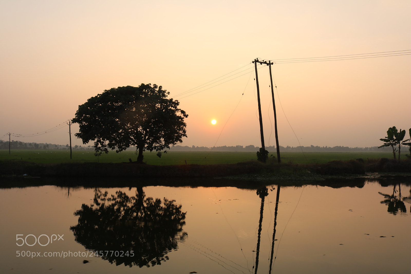 Canon EOS 750D (EOS Rebel T6i / EOS Kiss X8i) sample photo. Kottayam, kerala photography