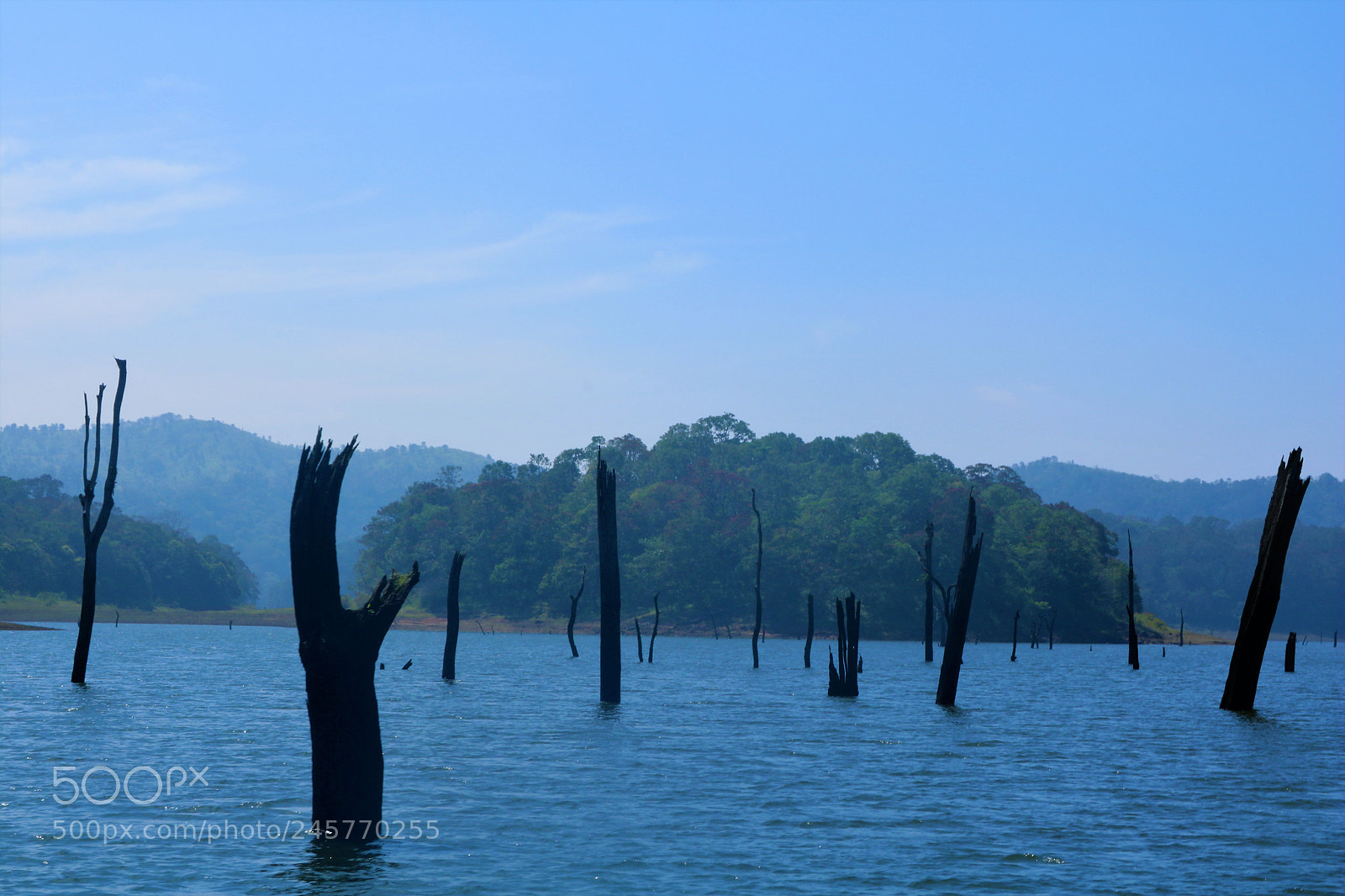 Canon EOS 750D (EOS Rebel T6i / EOS Kiss X8i) sample photo. Periyar lake, kerala photography