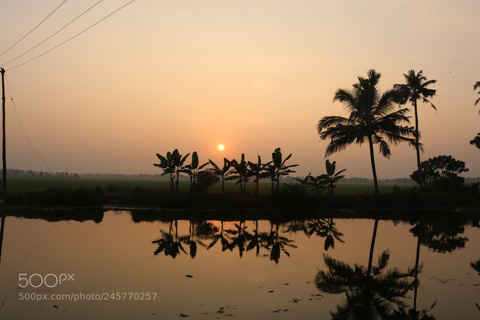 Canon EOS 750D (EOS Rebel T6i / EOS Kiss X8i) sample photo. Kottayam, kerala photography