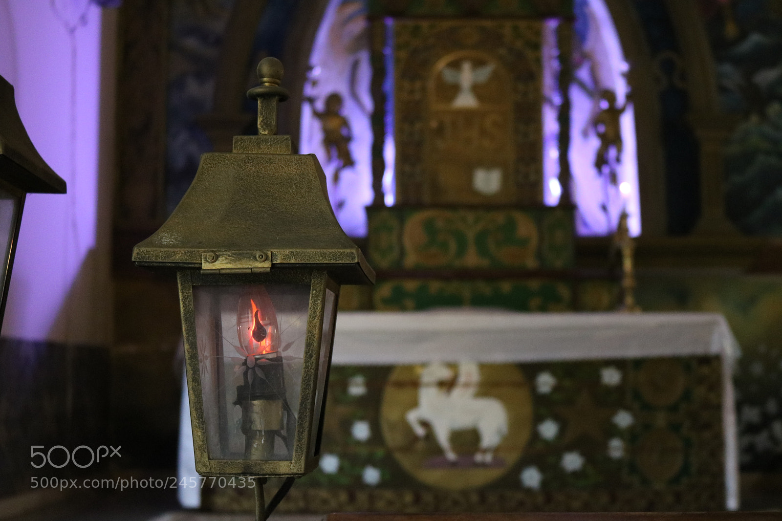 Canon EOS 750D (EOS Rebel T6i / EOS Kiss X8i) sample photo. Untitled photography
