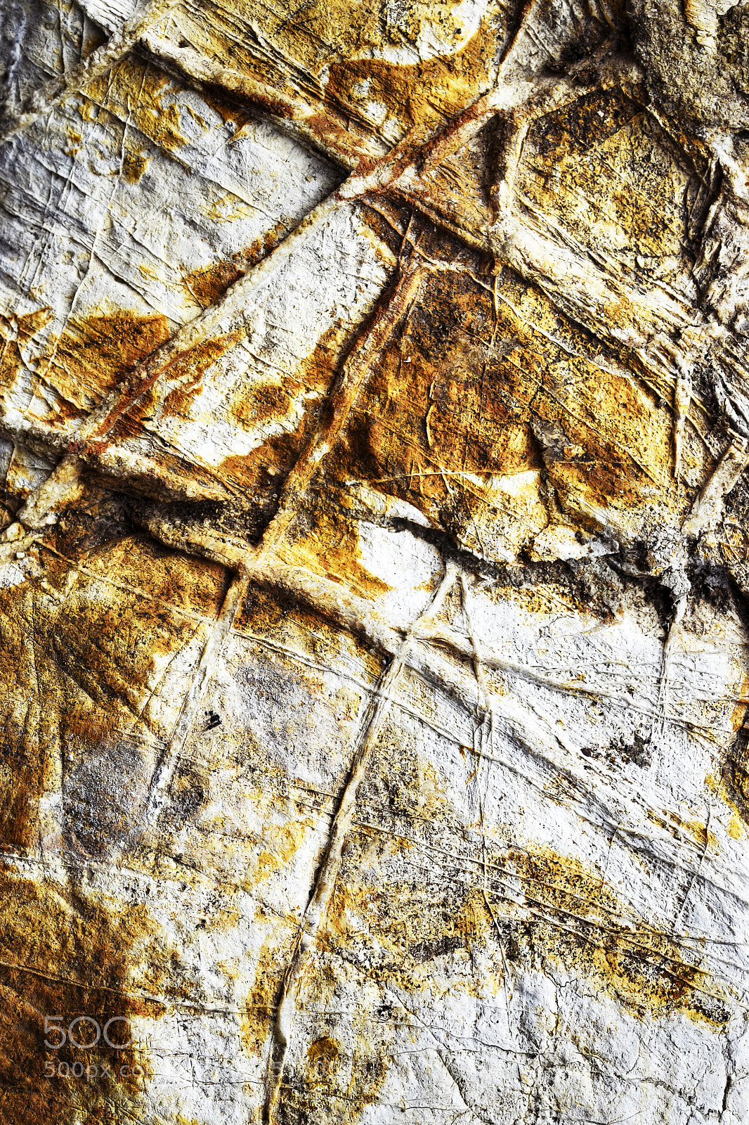 Nikon D5500 sample photo. Surface limestone  with veins photography