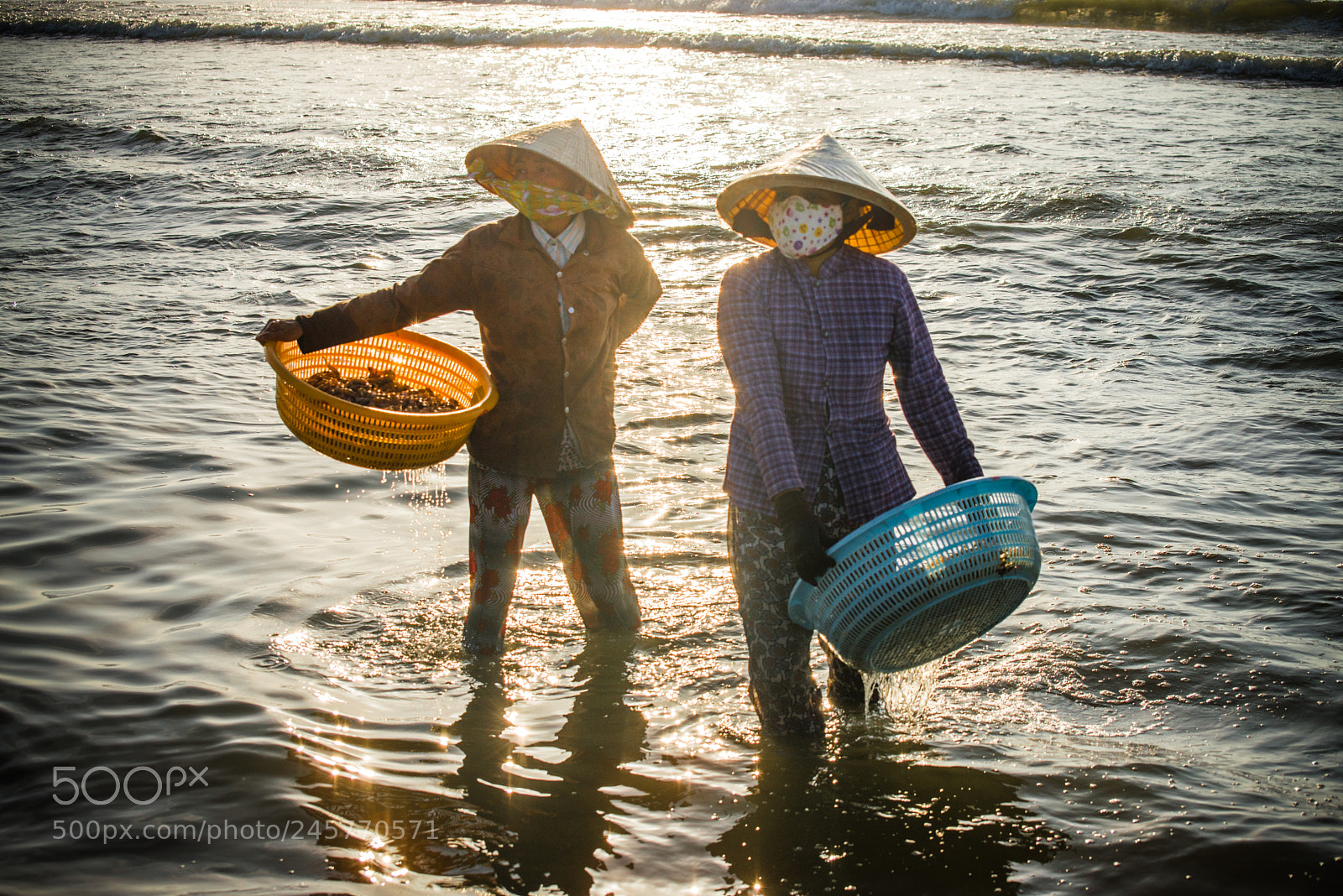 Nikon D610 sample photo. The way to work photography