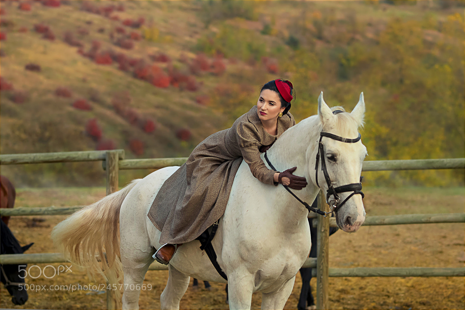 Nikon D610 sample photo. Kris photography