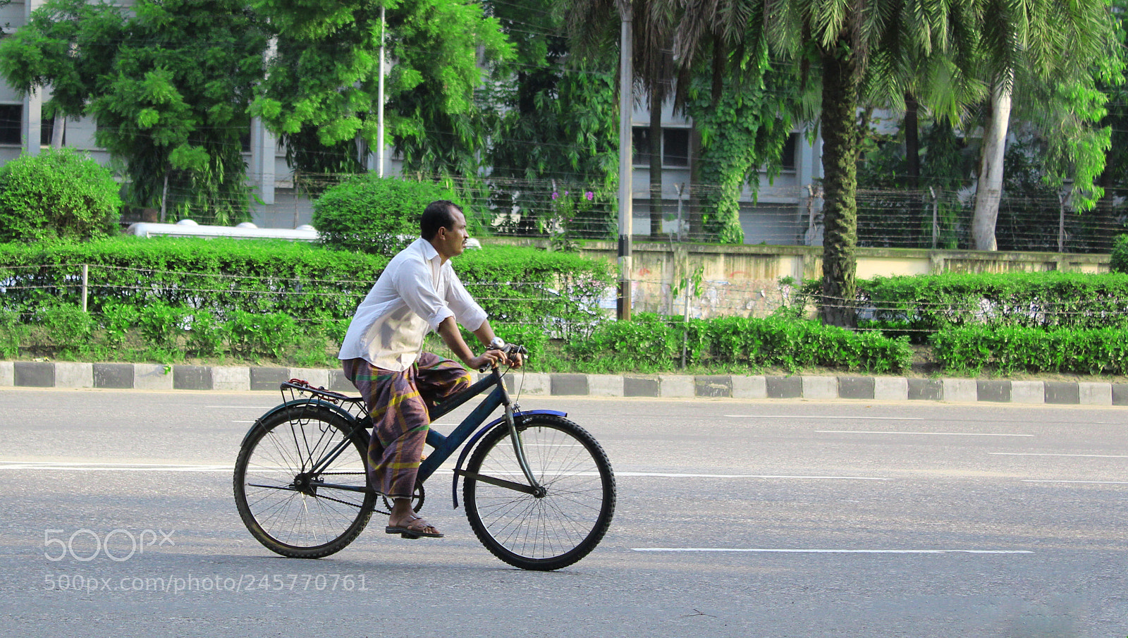 Canon EOS 1300D (EOS Rebel T6 / EOS Kiss X80) sample photo. Hard life photography