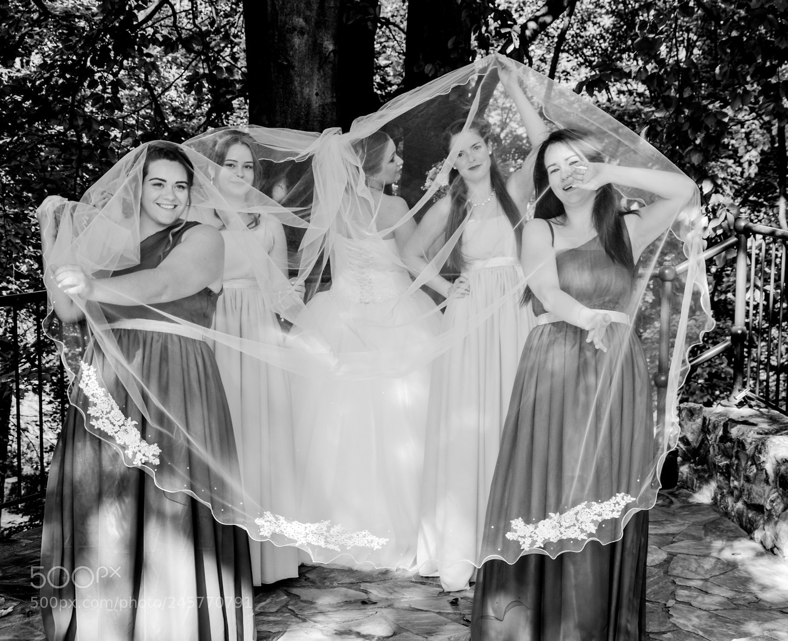 Nikon D7100 sample photo. Untitled photography