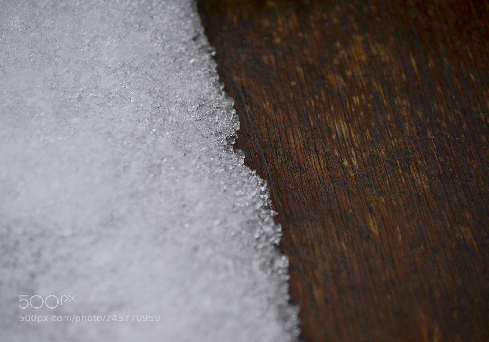 Nikon D3100 sample photo. Contrast photography