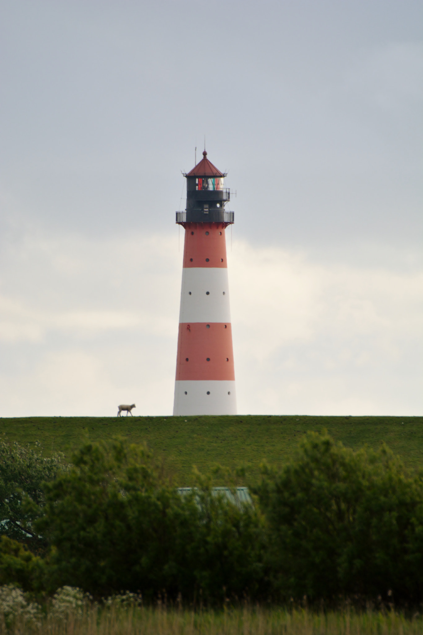 Nikon D7100 sample photo. The sheep and the lighthouse photography