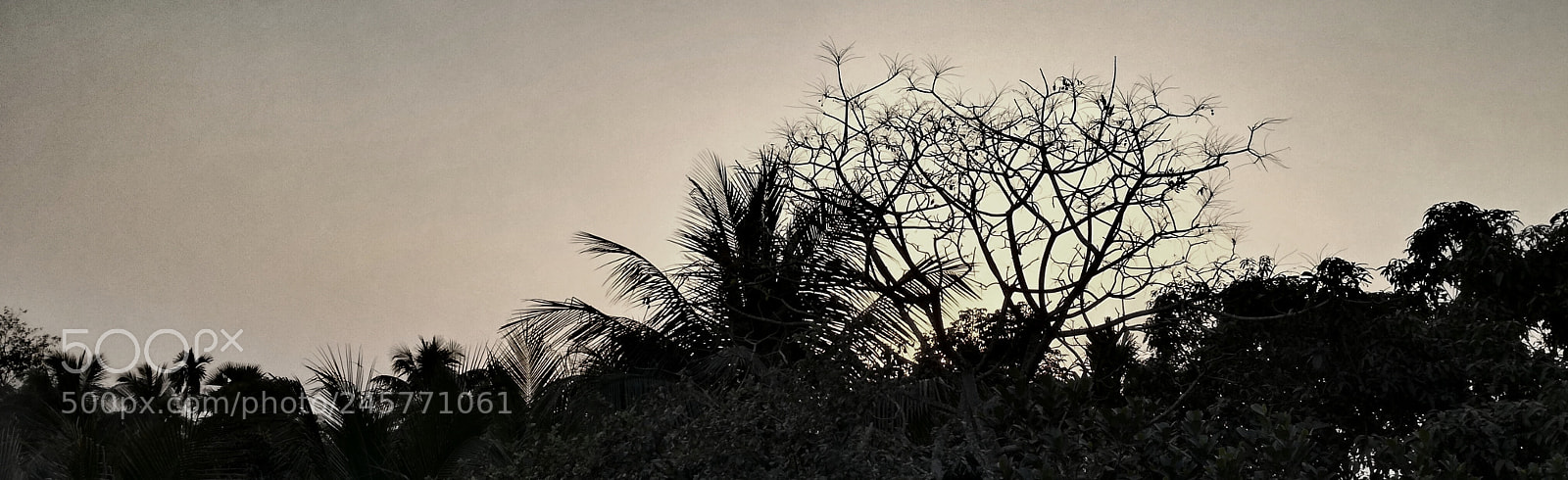 HUAWEI P9 LITE sample photo. Dusk photography