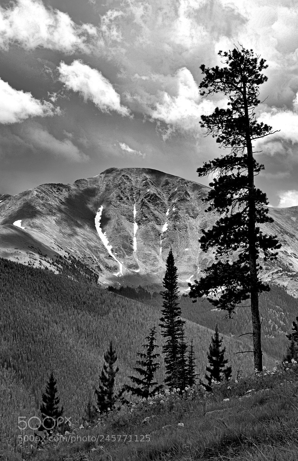 Nikon D7100 sample photo. View from atop winter photography