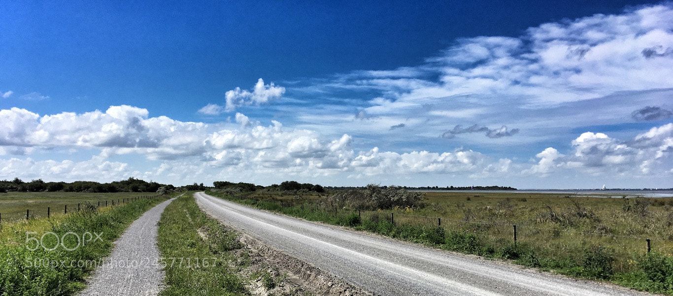 Apple iPhone SE sample photo. Endless road photography