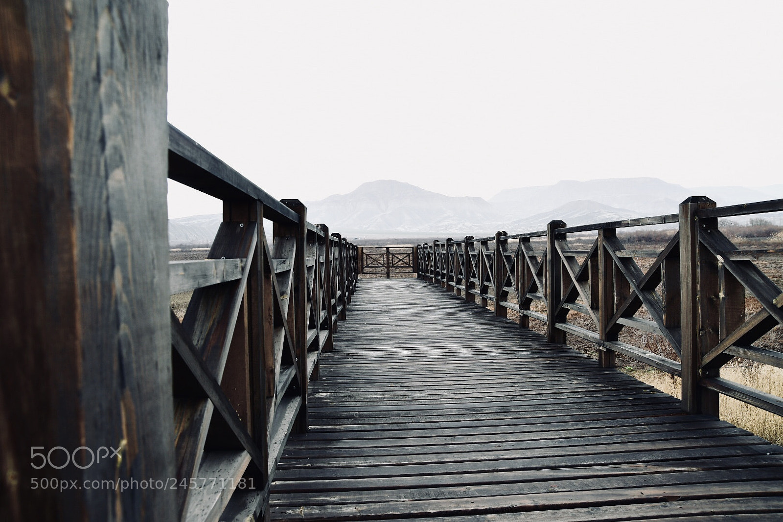 Nikon D7500 sample photo. Untitled photography