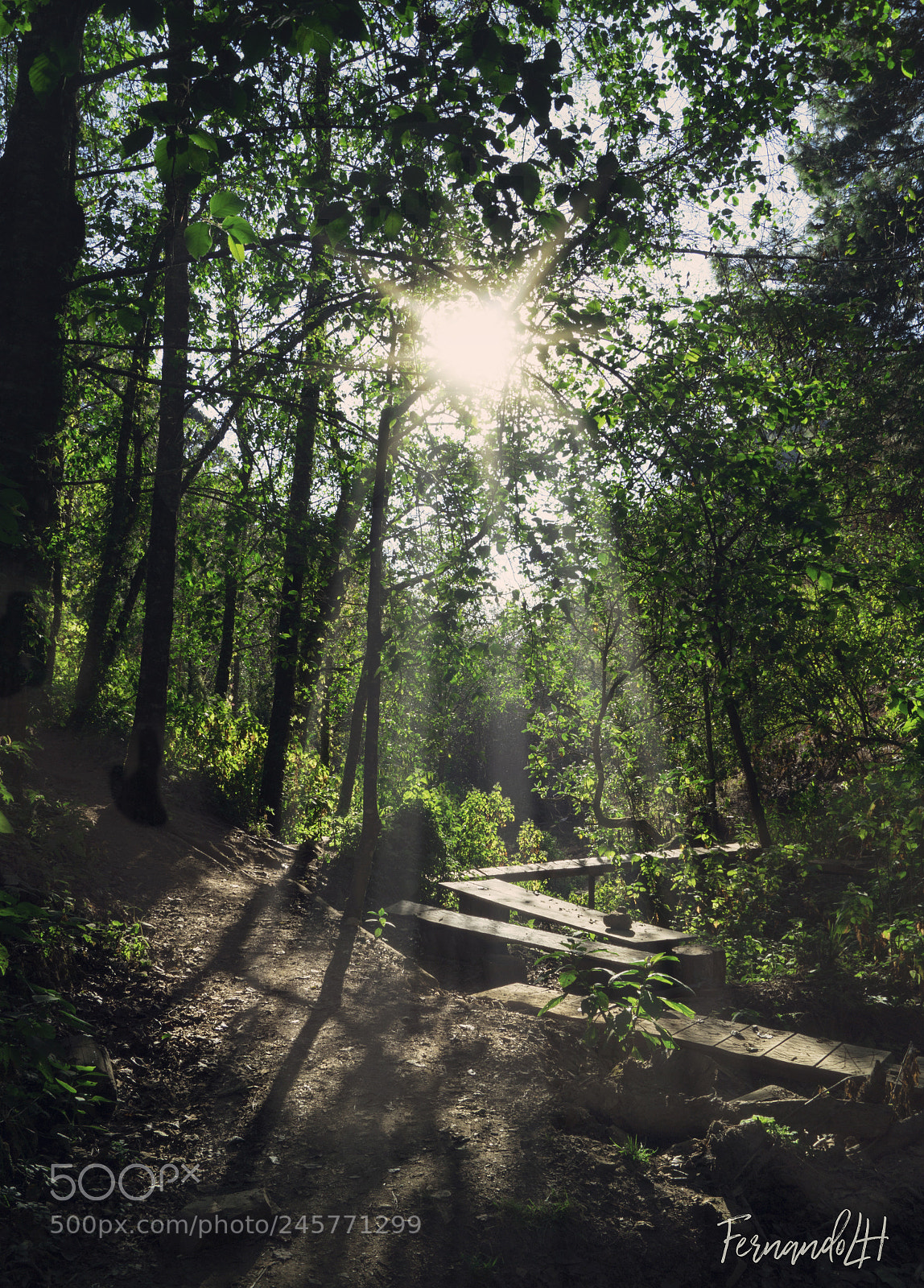 Sony SLT-A58 sample photo. Morning. photography
