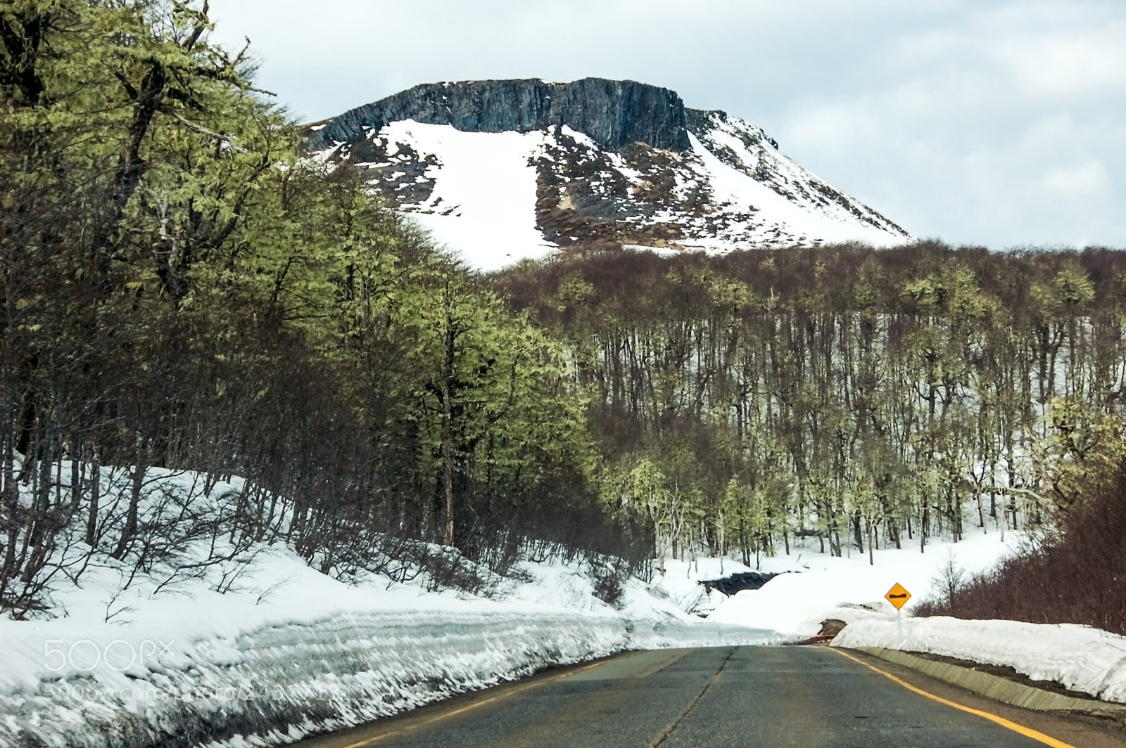 Nikon D50 sample photo. Up to the andes... photography