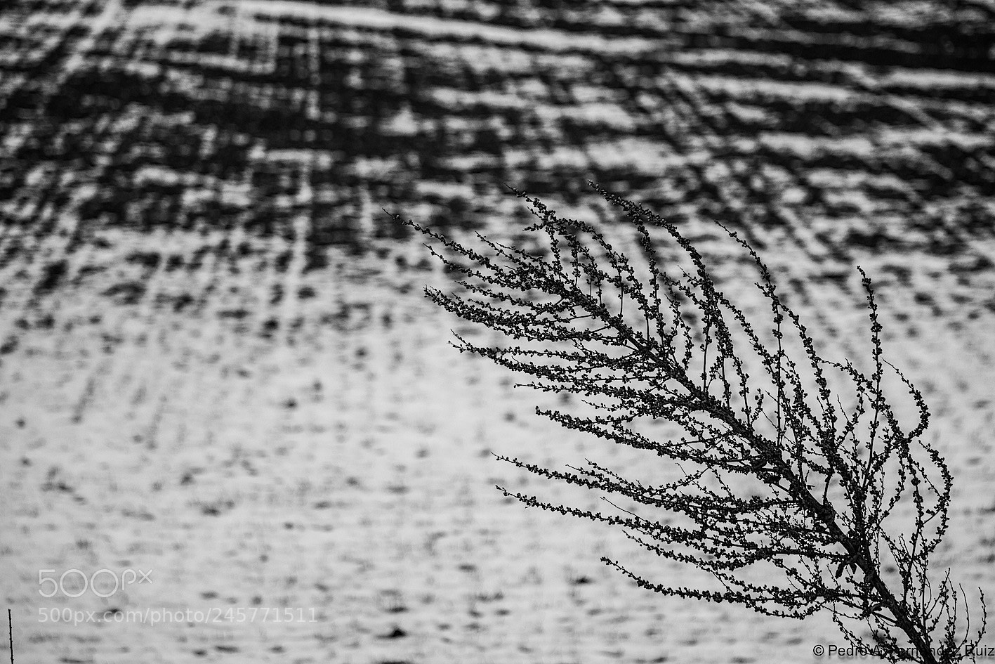 Canon EOS 550D (EOS Rebel T2i / EOS Kiss X4) sample photo. Siguenza (6) feb 18 photography
