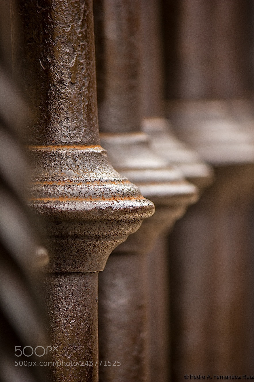 Canon EOS 550D (EOS Rebel T2i / EOS Kiss X4) sample photo. Detalle catedral de siguenza photography