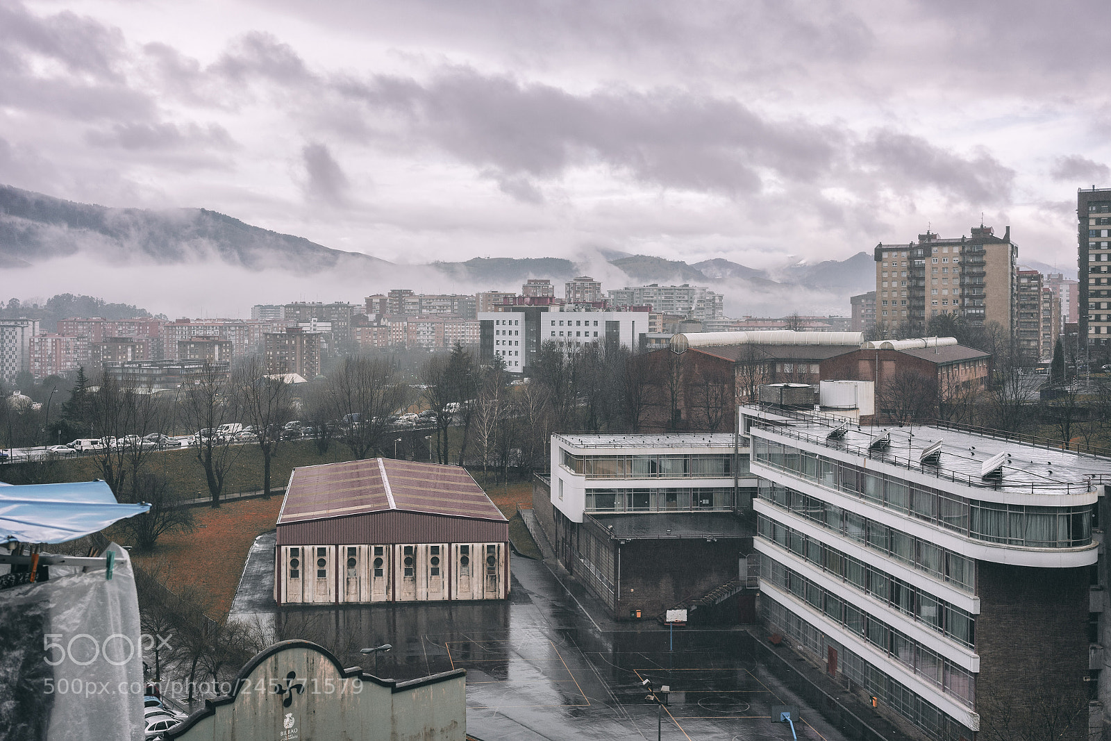 Sony a7 II sample photo. Untitled photography