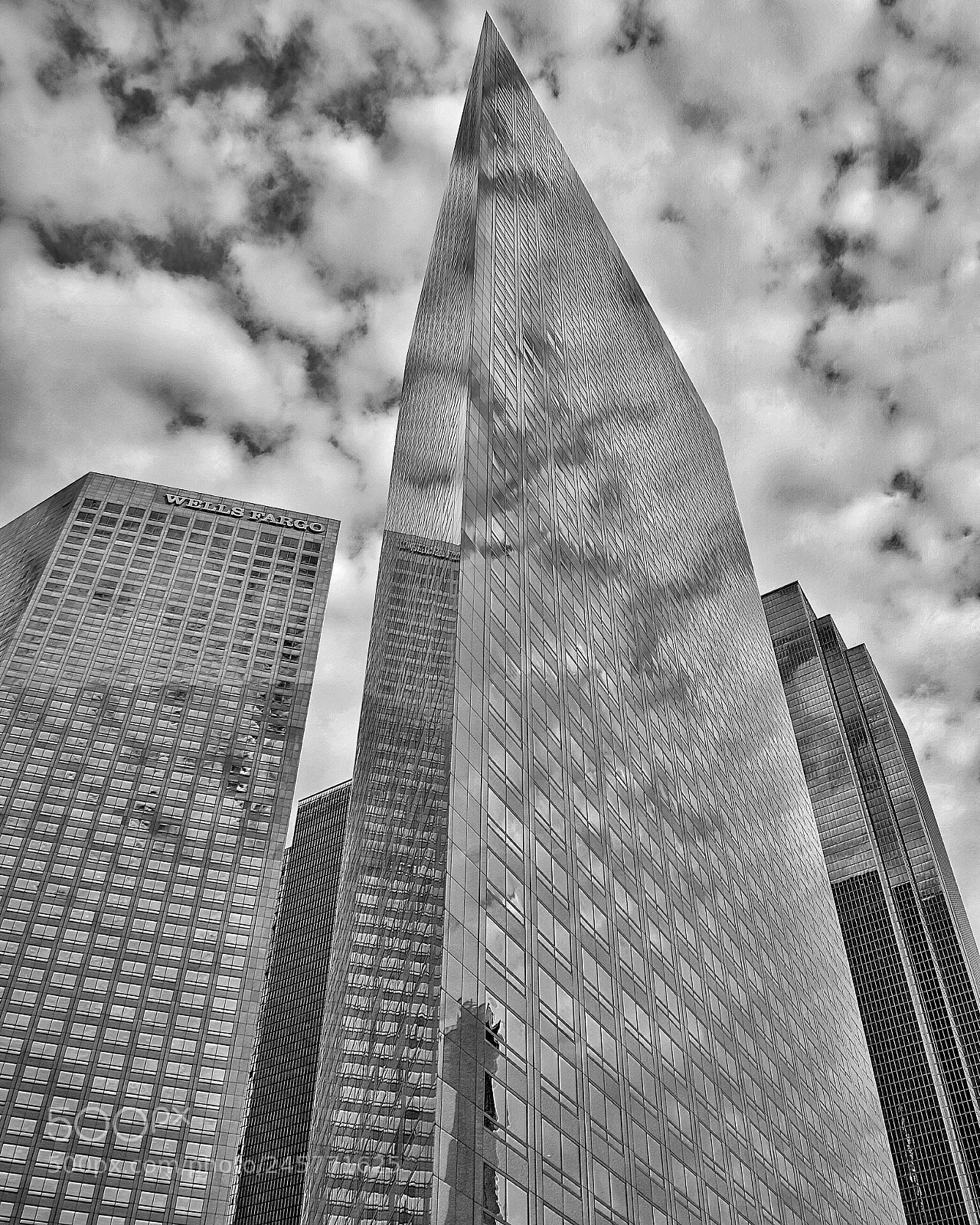 Nikon D810 sample photo. Los angeles photography