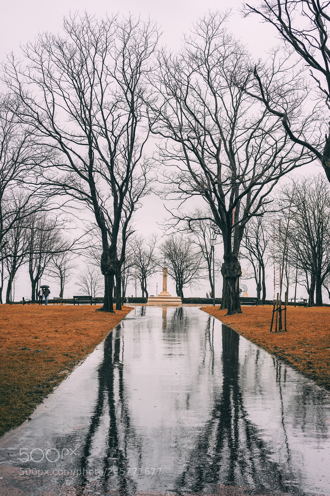 Sony a7 II sample photo. Untitled photography