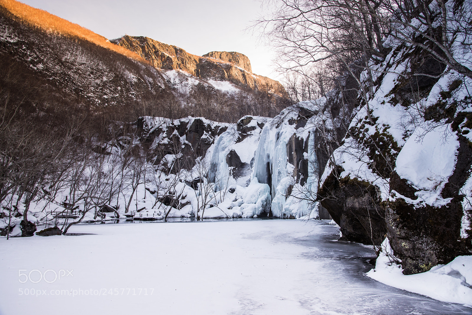 Nikon D610 sample photo. Freeze photography