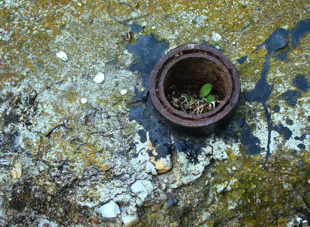 Sony DSC-H7 sample photo. Vall-i stop photography