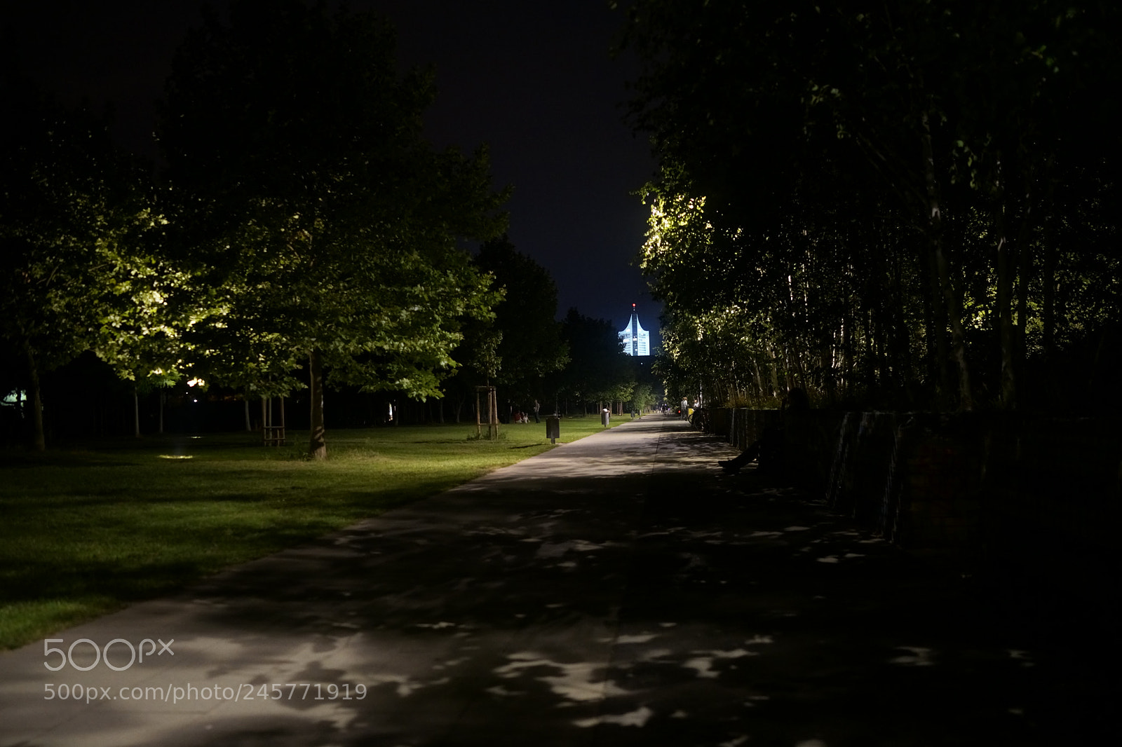 Sony Cyber-shot DSC-RX1R sample photo. A night in the photography