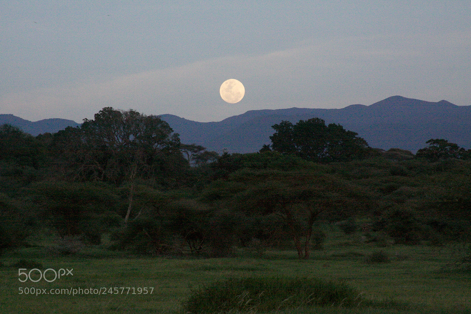 Canon EOS 50D sample photo. Moon photography