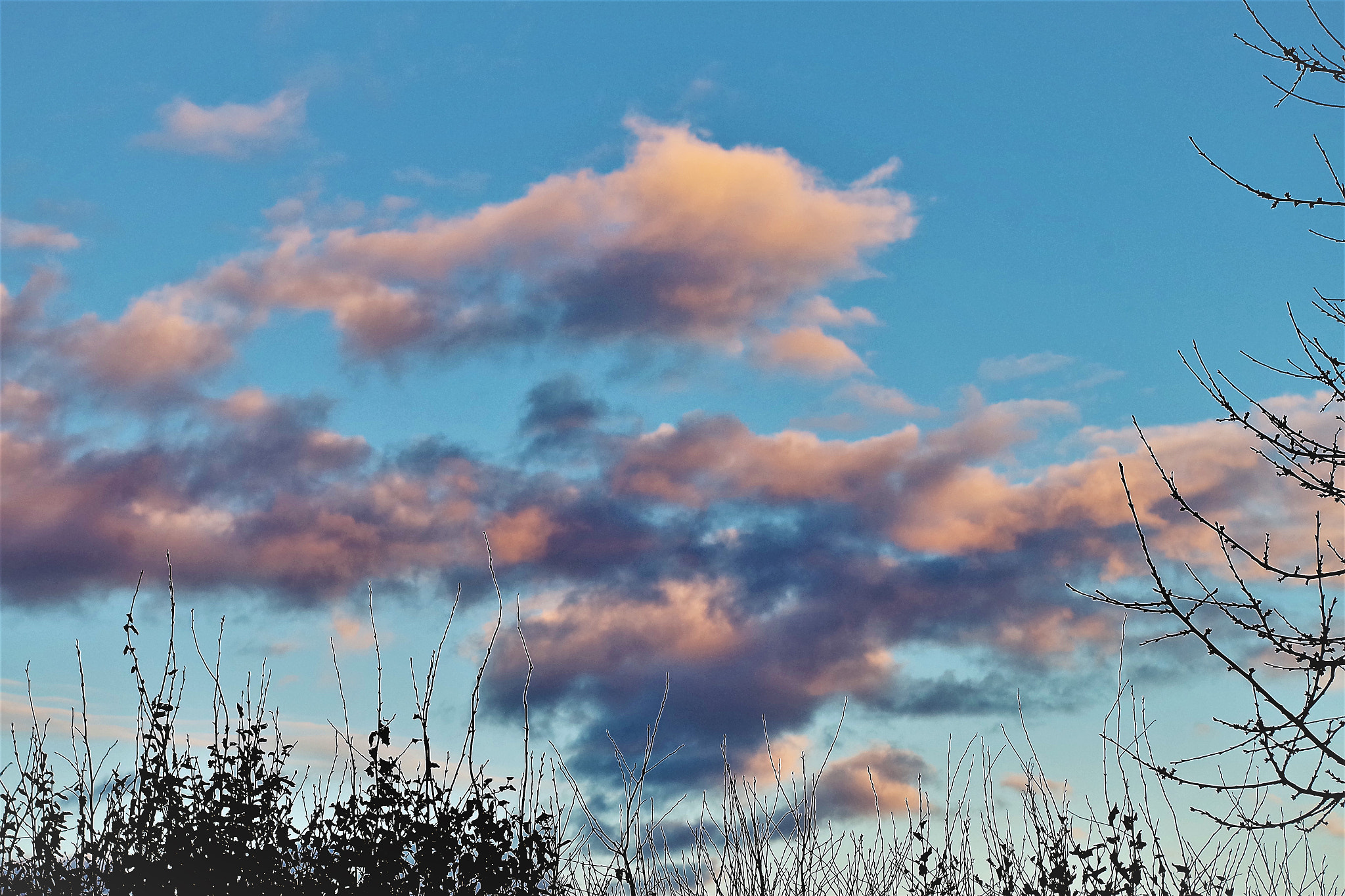 Pentax K-S2 sample photo. Evening clouds photography