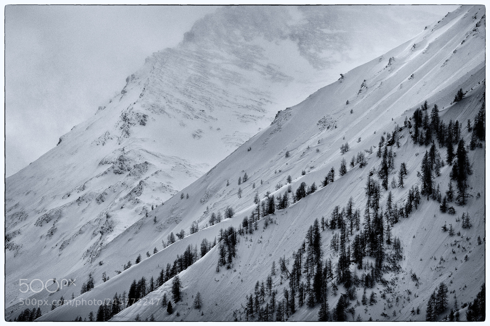Nikon D500 sample photo. White slopes photography