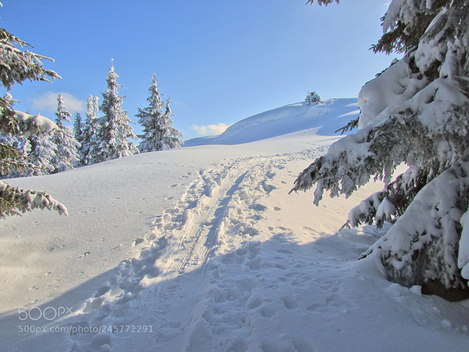 Canon PowerShot SX510 HS sample photo. Tracks in the snow03 photography