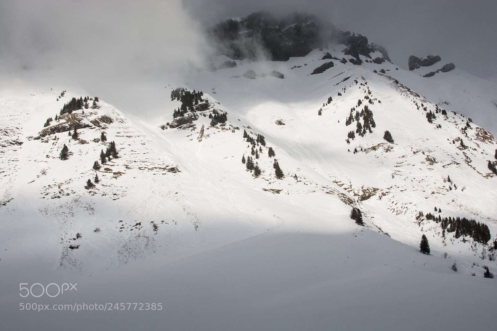 Nikon D7100 sample photo. Frozen photography