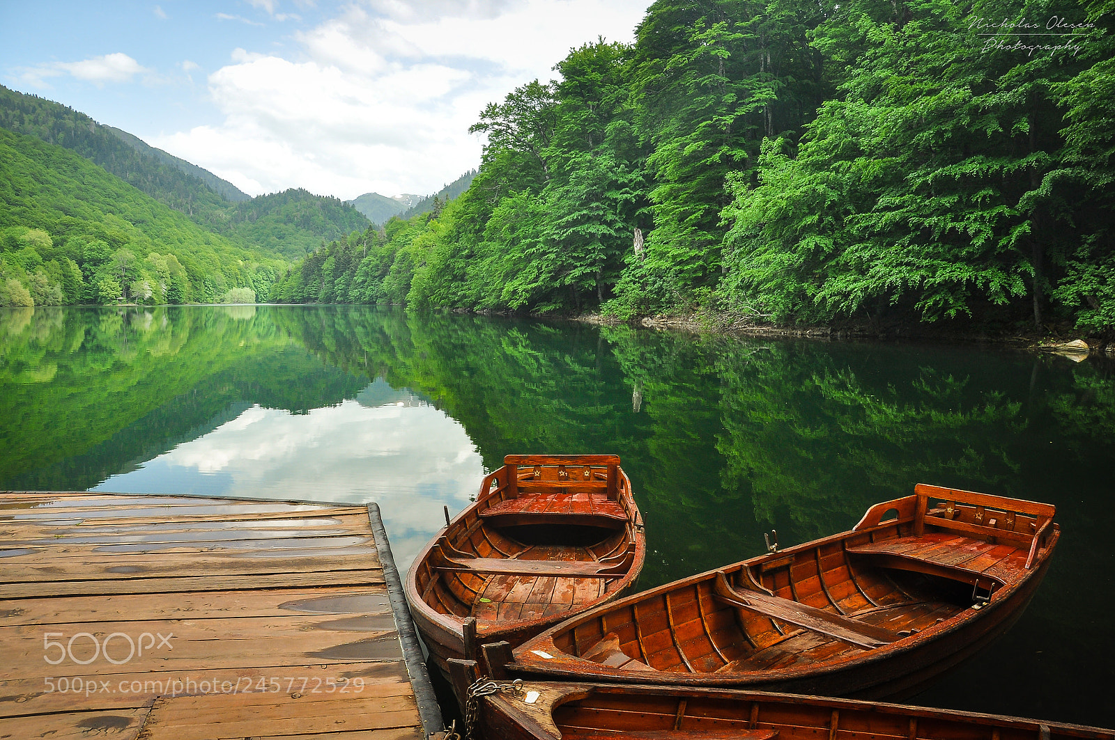 Nikon D90 sample photo. Montenegro biogradsko gora national photography