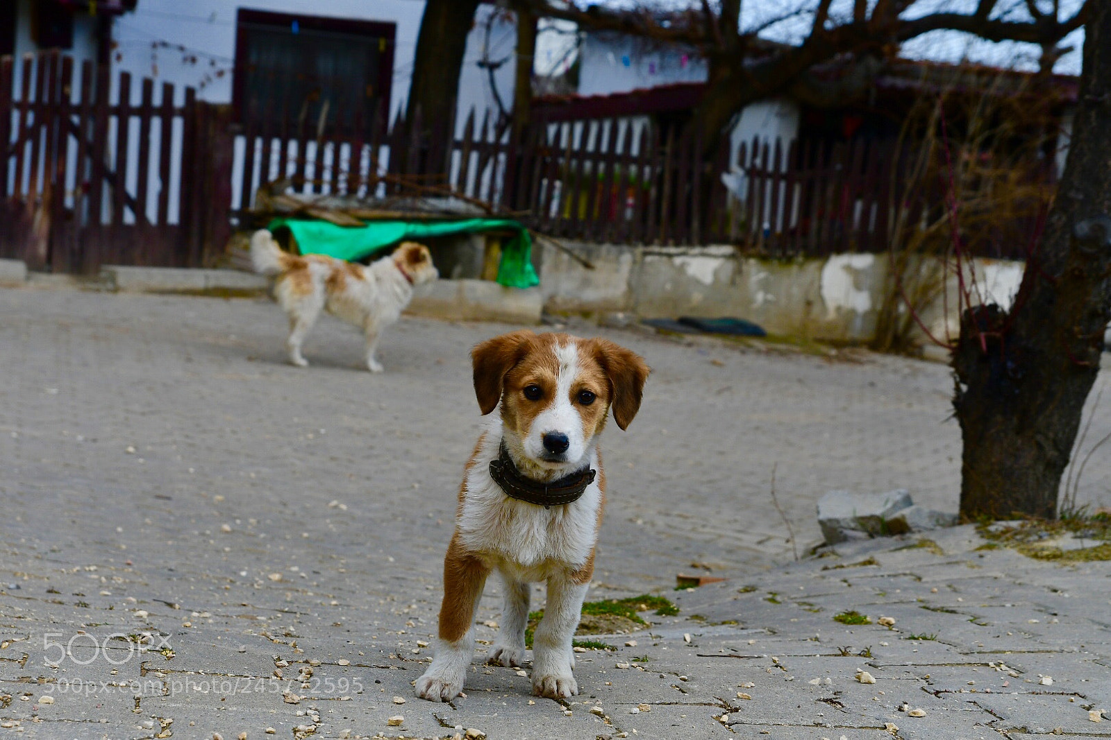 Nikon D7500 sample photo. Untitled photography