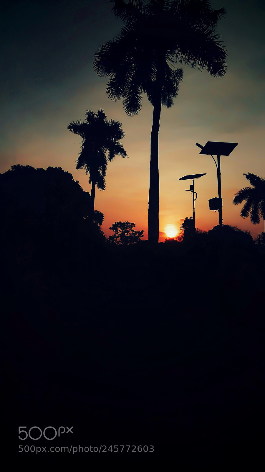 Xiaomi Redmi Note 4 sample photo. When the sun goes photography