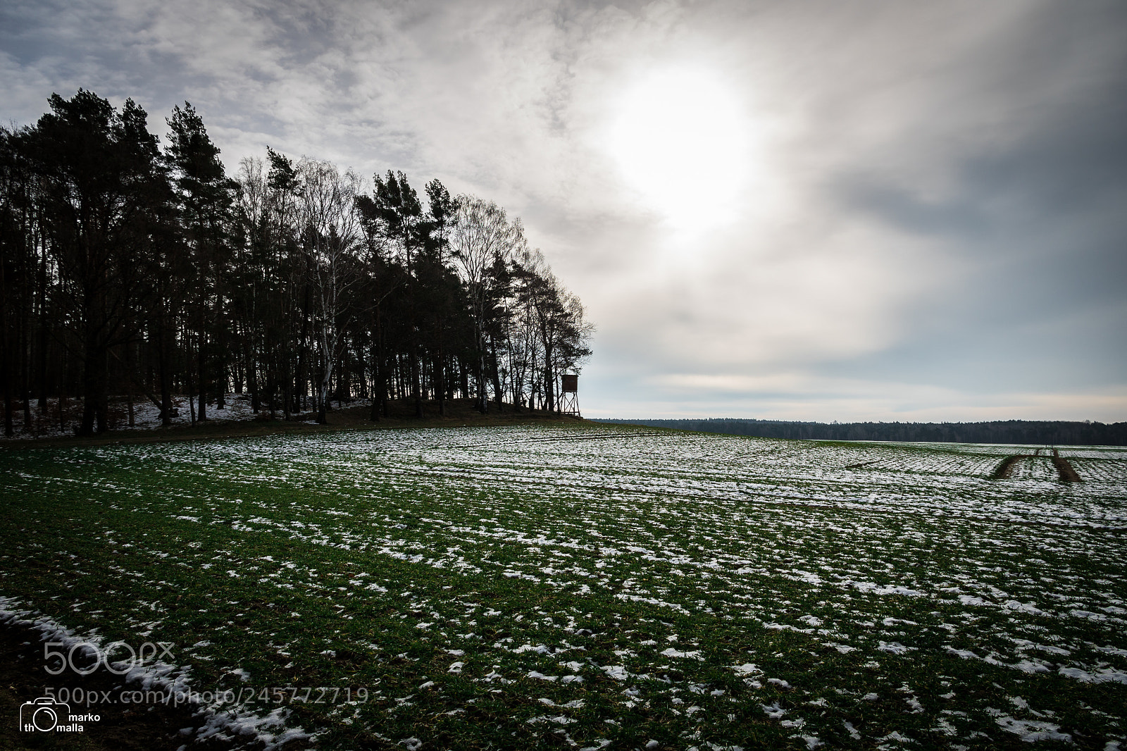 Canon EOS 750D (EOS Rebel T6i / EOS Kiss X8i) sample photo. Wintersonne photography