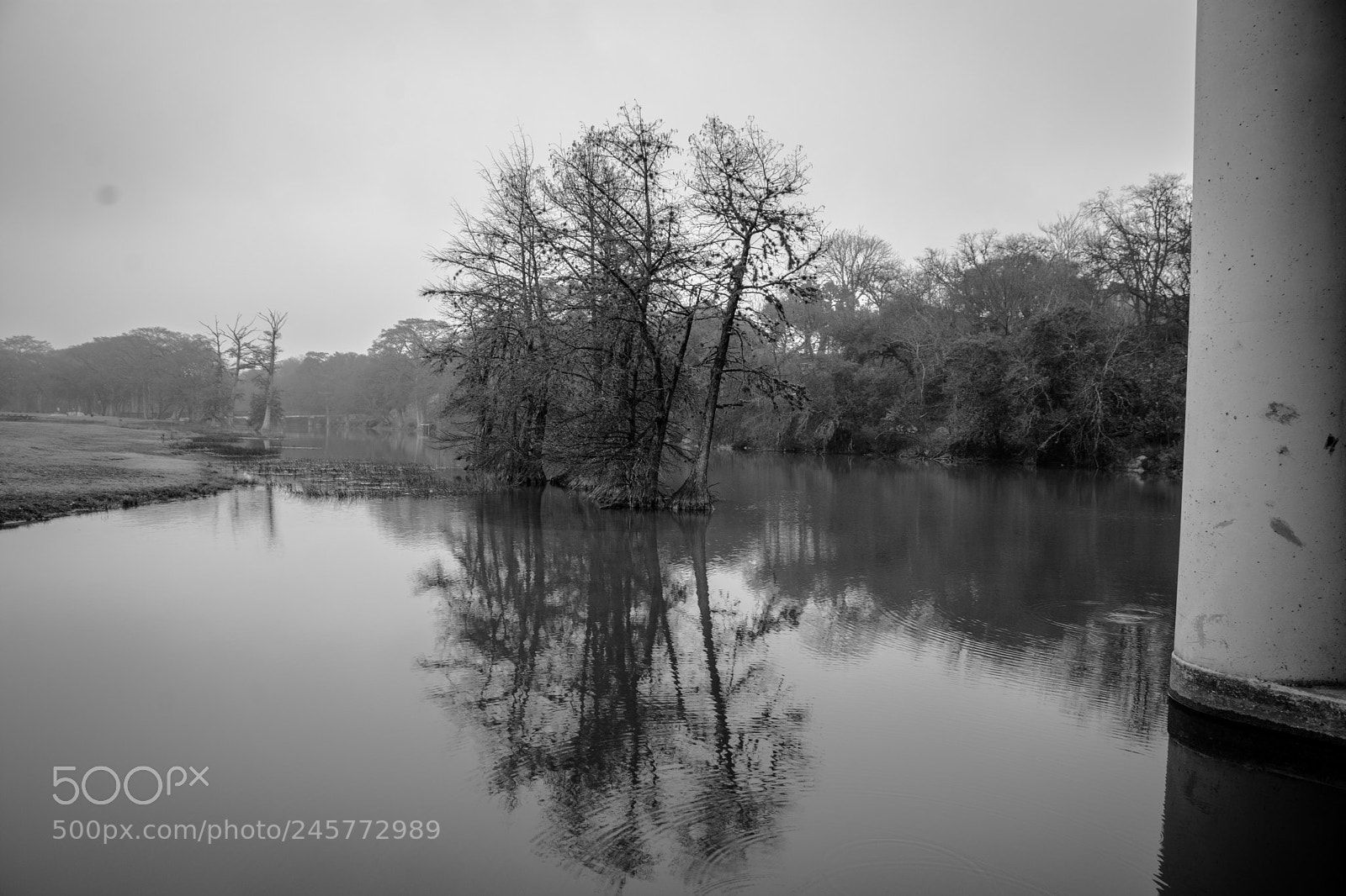 Nikon D7100 sample photo. Guadalupe river in black photography