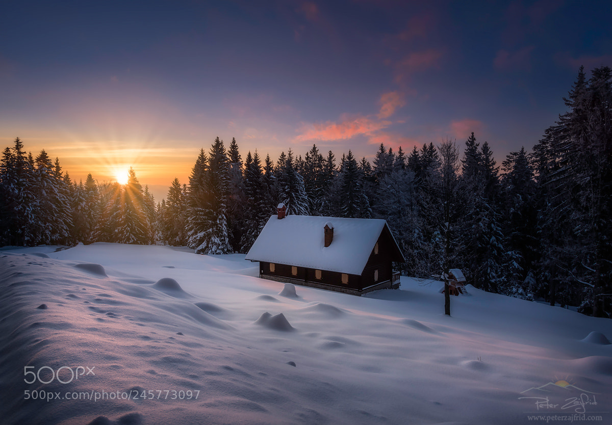 Nikon D810 sample photo. Winter wonderland photography