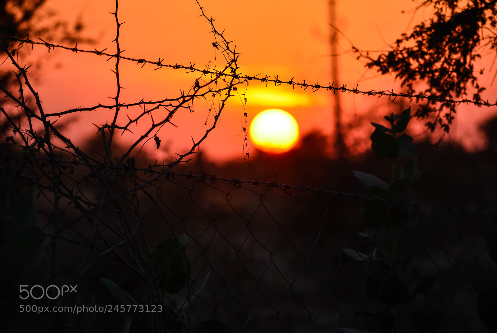 Nikon D5200 sample photo. Arrival of dawn through photography